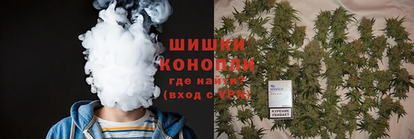 ГАЛЛЮЦИНОГЕННЫЕ ГРИБЫ Алексеевка