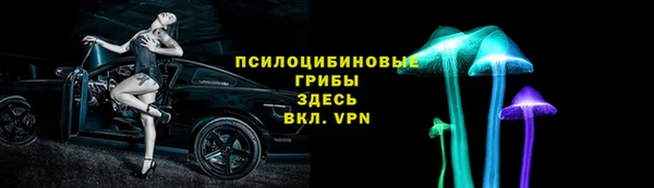 apvp Алексин