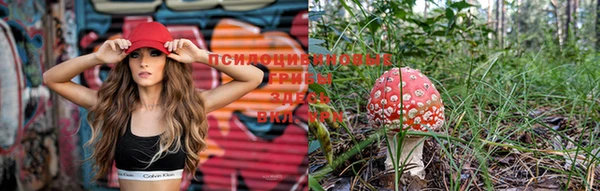 mix Козельск