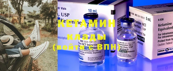 шишки Кодинск