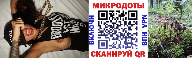 Галлюциногенные грибы мухоморы  цена   KRAKEN рабочий сайт  Аткарск 